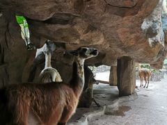 -长鹿旅游休博园