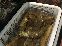 -渔家颂歌渔家味道(青石路店)