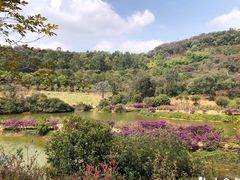 -南国桃园旅游度假区