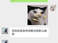 -千秋未来日韩语(天府五街校区)