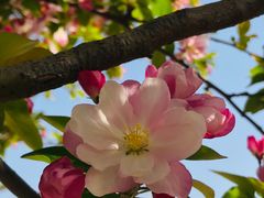 -大兴滨河森林公园