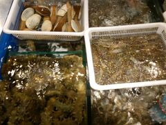 -苏大嘴海鲜牧场(奥林匹克店)