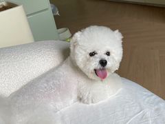 -佳雯宠物医院·皮肤科·内外科(春晓路分院)