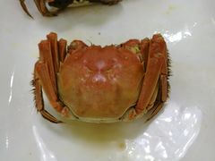-文园酒店
