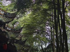 -青城山