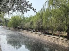 -海棠花溪(元大都城垣遗址公园)