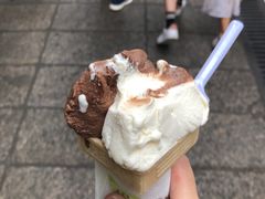 -柠檬车露(卖草地店)