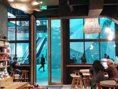 -星巴克(成都太古里二店)