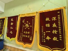-瑞鹏宠物医院·夜间急症·心超·猫科(祖庙分店)
