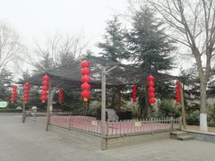 -太阳部落