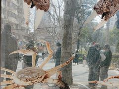 -新花城蟹粉馆(乌鲁木齐店)