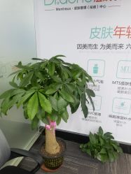 -痘院长·祛痘·皮肤管理