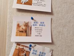 -唐小姐の私宠·宠物洗护美容·撸猫馆·购宠(周浦万达旗舰店)