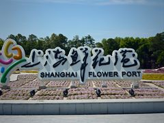 -上海鲜花港