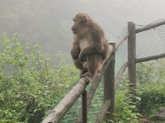 -峨眉山风景名胜区