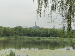 -北坞公园