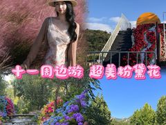 -沂蒙云瀑洞天景区