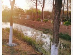 -东郊湿地公园