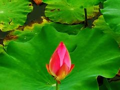 -天津东丽湖风景区