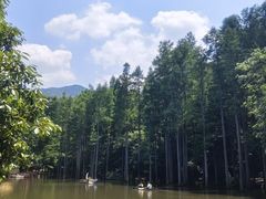 -波尔登森林公园