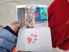 -西霞口神雕山野生动物世界