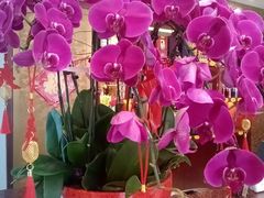-全聚德烤鸭店(马家堡店)