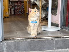 -像素研食The pixlab (皮市街店)