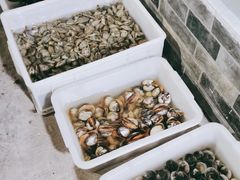 -阿杰臻选海鲜饭店(普陀山店)