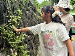 -都江堰中华大熊猫苑