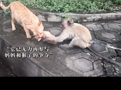 -昆明动物园