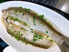 太湖白鱼-华庭苑农家乐(旺山店)
