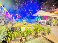 -山菌美食苑(振兴路店)