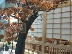 -伊豆野菜村(大族广场店)