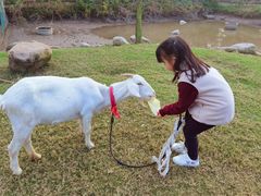 -前小桔亲子创意农场·草莓采摘·露营烧烤