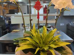 -茹·pure vegan(博华广场店)