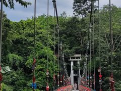 -西双版纳原始森林公园