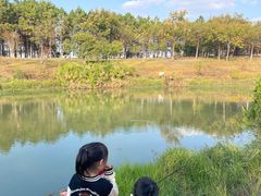 -瑶湖郊野森林公园