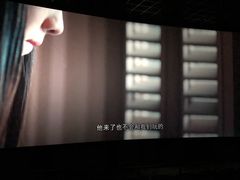 -万象影城(石家庄万象城IMAX激光店)