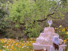 -名花谷生态庄园