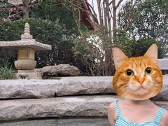 -西安华清御汤酒店