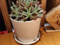 -湘与香缘·湖南菜(王府井北京市百货大楼店)