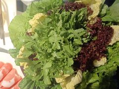 -额尔敦传统涮(公园西路店)