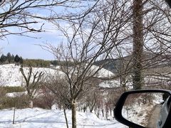 -四明山国家森林公园
