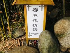 -三江森林温泉度假区