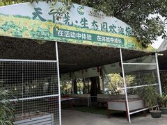 -天下先生态园农庄CS团建露营地(海鸥岛店)