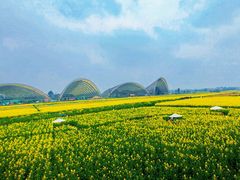 -中国天府农业博览园