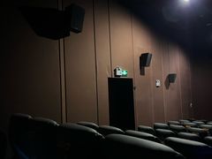 -上海金逸影城(静安大悦城店（原新恒星影城）)