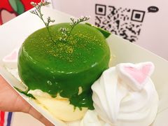 -狐狸和向日葵(北京路店)