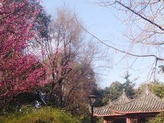 -温江公园