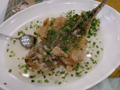 -岭南海晏楼(滨江东总店)